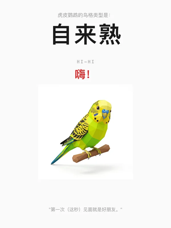虎皮鹦鹉·自来熟